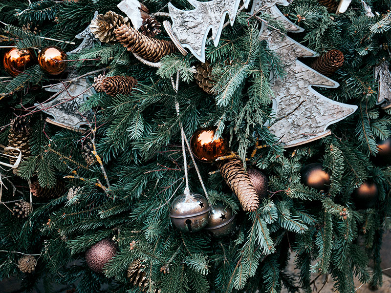 Consulta dónde puedes dejar el árbol de Navidad tras las fiestas